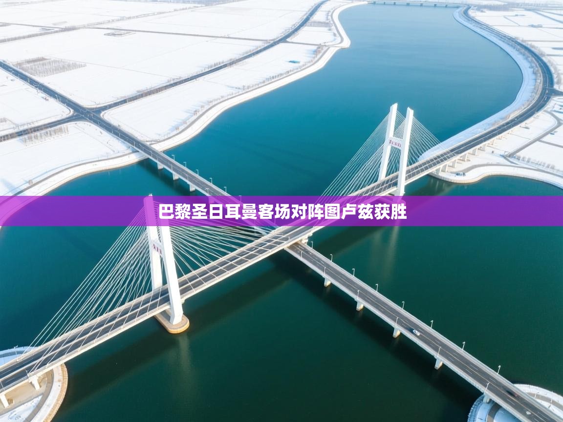 巴黎圣日耳曼客场对阵图卢兹获胜 第2张