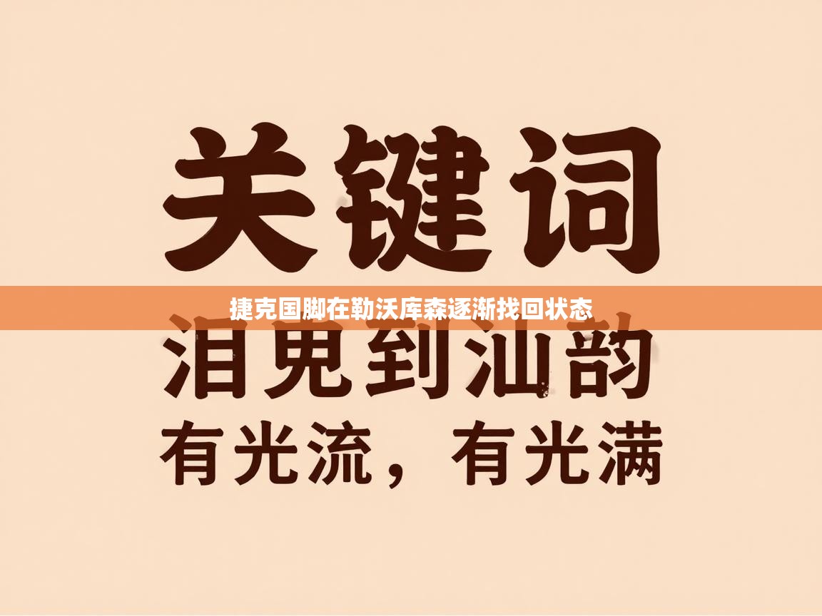 捷克国脚在勒沃库森逐渐找回状态 第2张